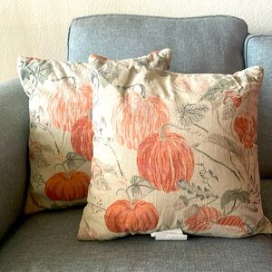 Fall accent pillows